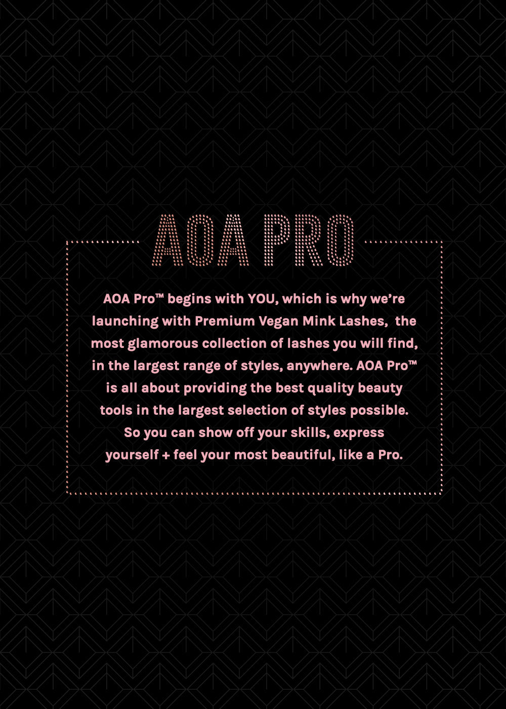 AOA Pro Press-On Nails: French Long