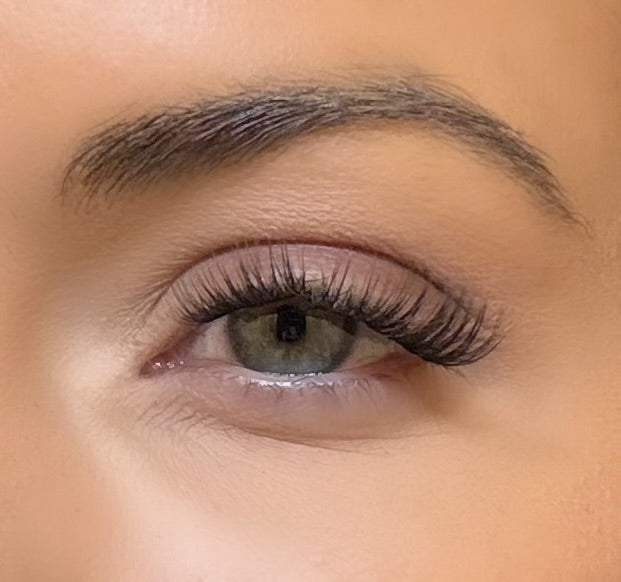 C & D Beauty - Hazel Press & Go Refill