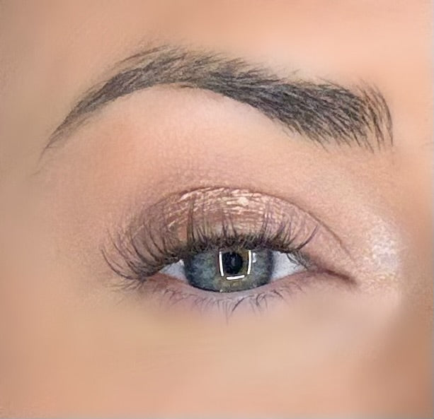 C & D Beauty - Hazel Press & Go Refill