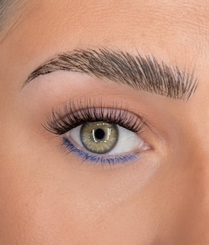 C & D Beauty - Hazel Press & Go Refill
