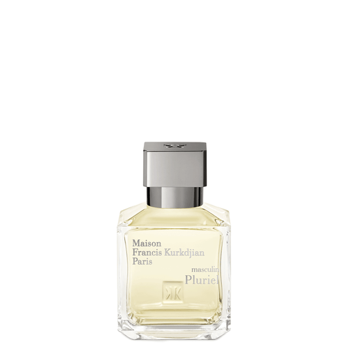 masculin Pluriel