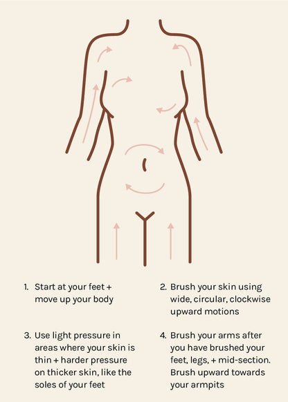 AOA Premium Body Dry Brush