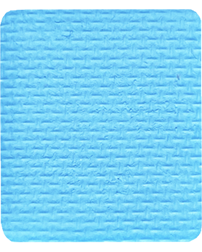 Gavissi Beauty - "BLUE RASPBERRY" SINGLE LINER PAN (UV)