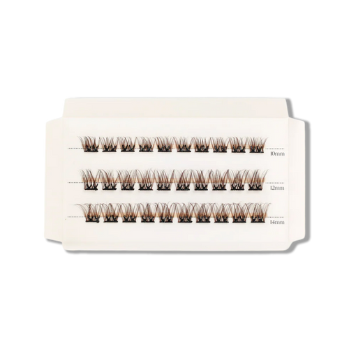 C & D Beauty - Hazel Press & Go Refill