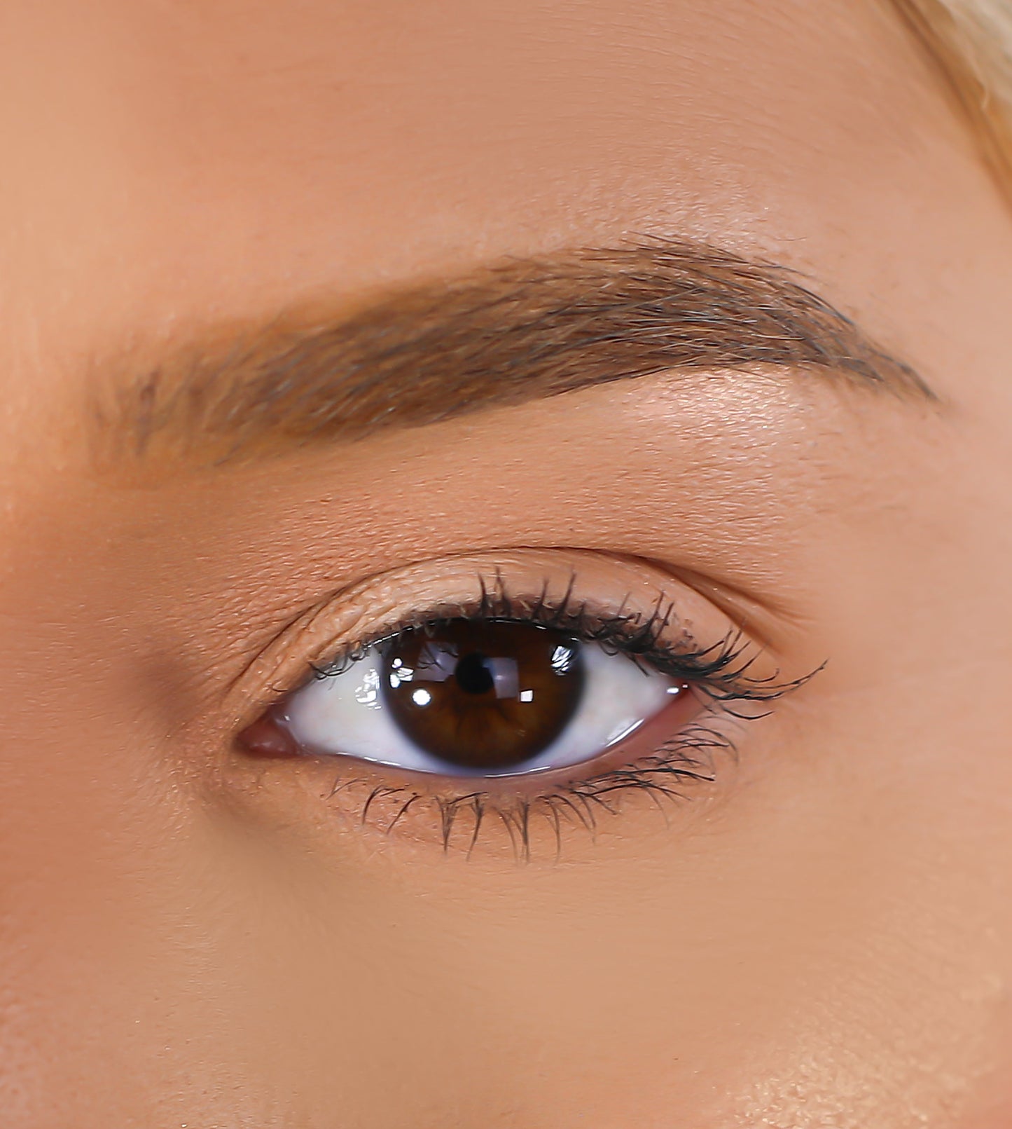 Lurella Cosmetics - 3D Mink Eyelashes - Larger Than Life
