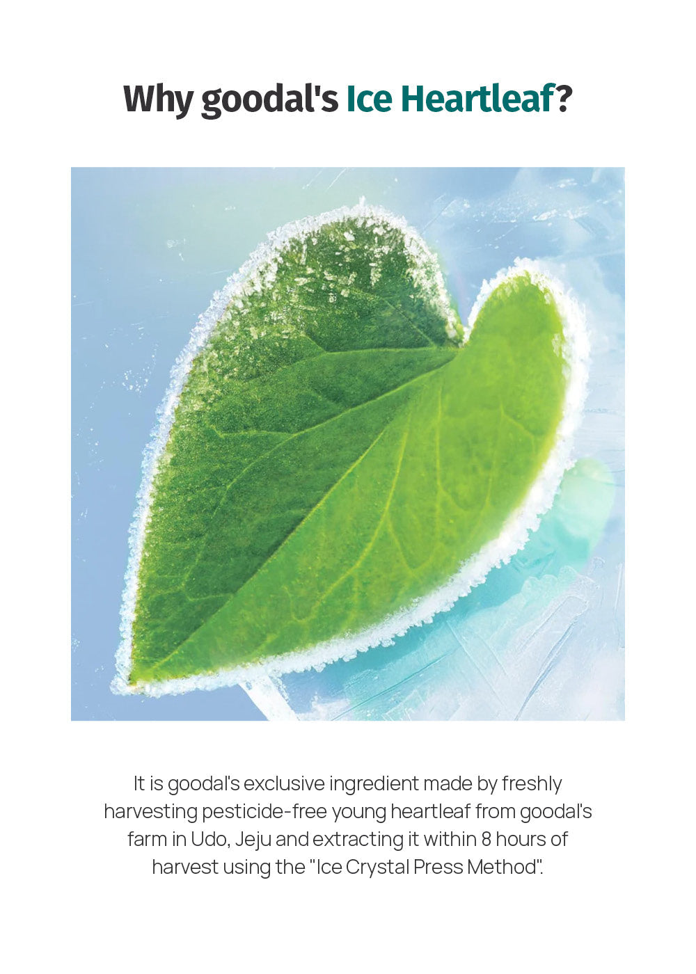 goodal Heartleaf Hyaluron Soothing Toner 350ml