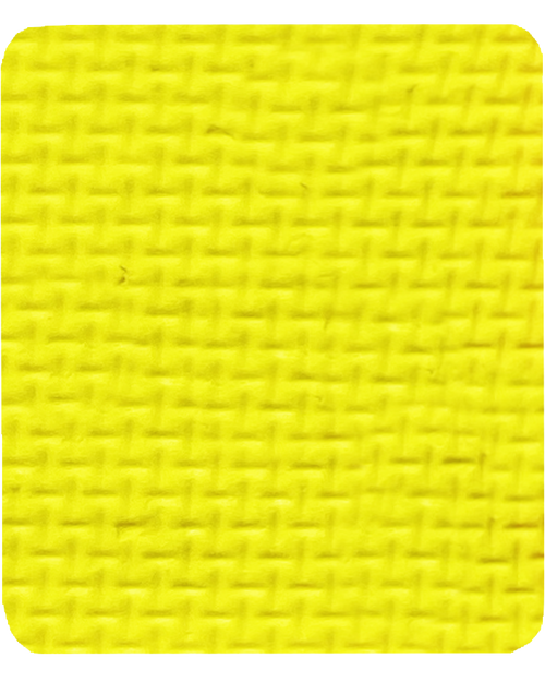 Gavissi Beauty - "LEMON LUSH" SINGLE LINER PAN (MATTE)