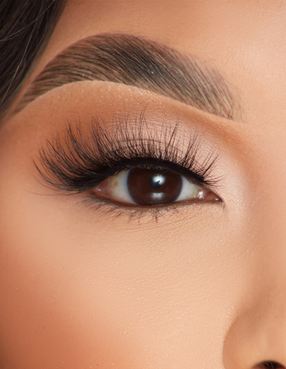 Foxy Flicks False Lashes