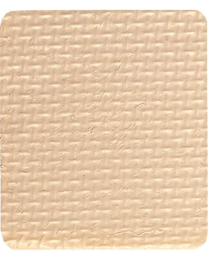 Gavissi Beauty - "VANILLA" SINGLE LINER PAN (MATTE)