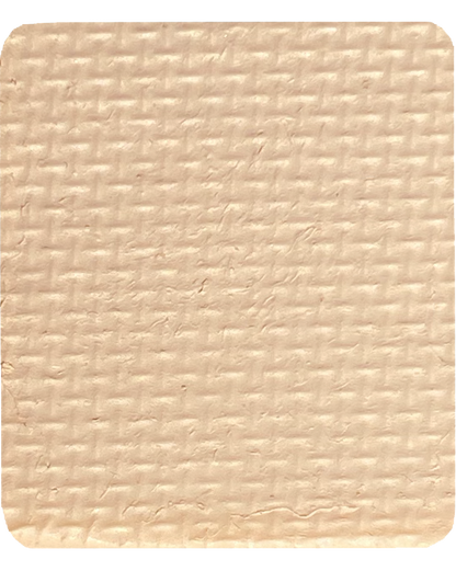 Gavissi Beauty - "VANILLA" SINGLE LINER PAN (MATTE)