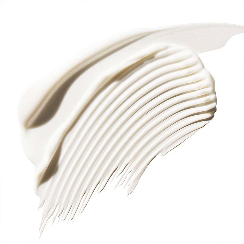 Aveda Color Control Leave In Treatment Rich