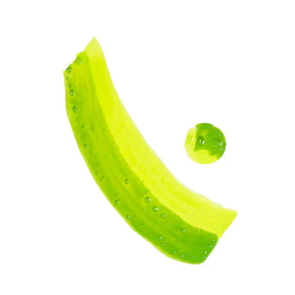 Glisten Cosmetics - Split Liner - Camo (UV Green) - Large (10g)